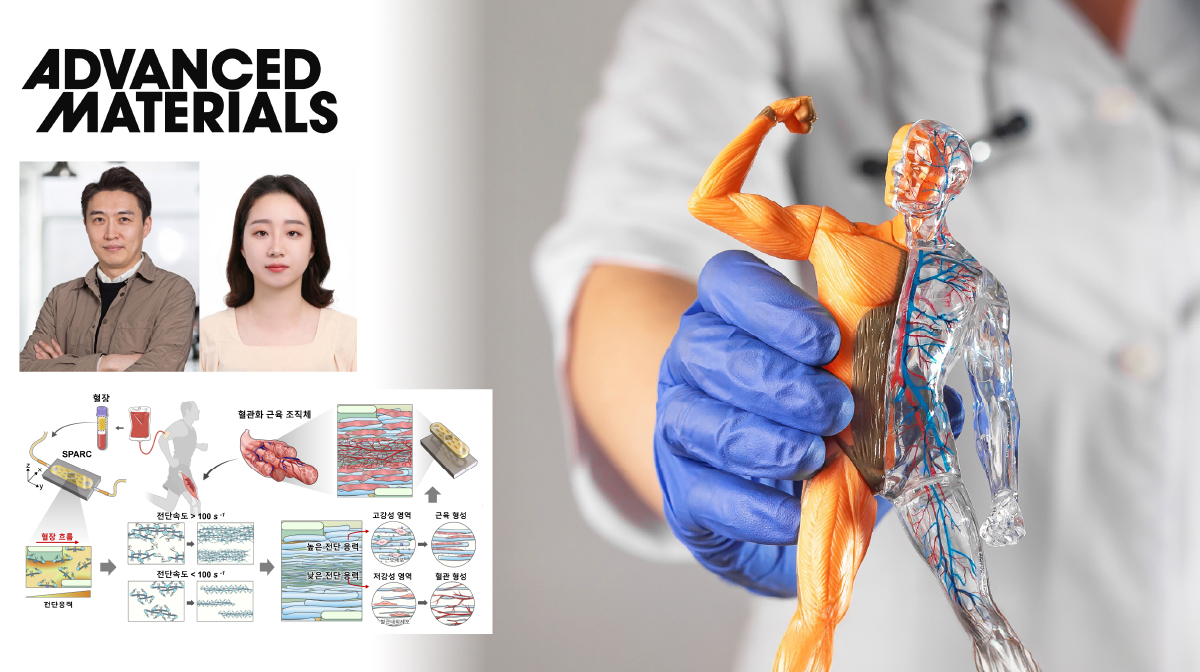 Novel Blood-Based Graft Enables Simultaneous Muscle and Blood Vessel Regeneration