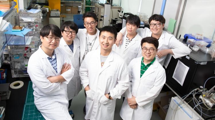 Sponge-like Nanogenerator Shows Promise for Self-powered Electronics