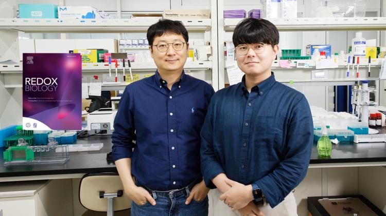 New Study Identifies Unique Type of Microglia Associated with Stroke in the I/R Injured Brain